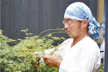 丁寧に植木を行う様子